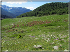 foto Malga Val Cion